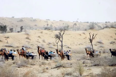 Full Day Bikaner Sightseeing Tour