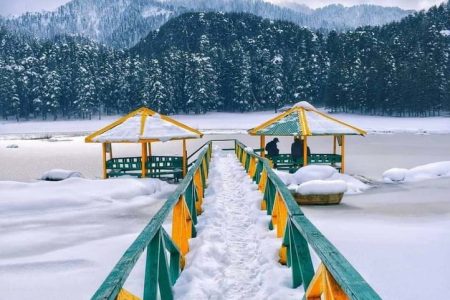 Himachal Tour Package 7 Nights 8 Days